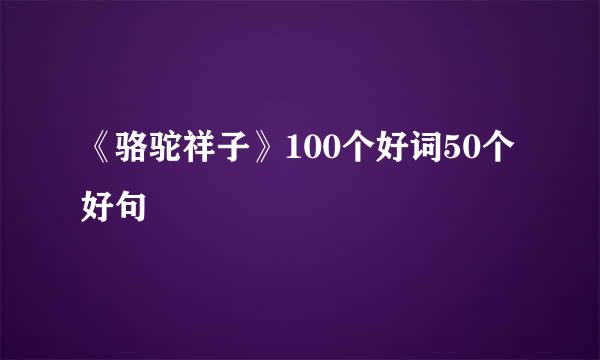 《骆驼祥子》100个好词50个好句