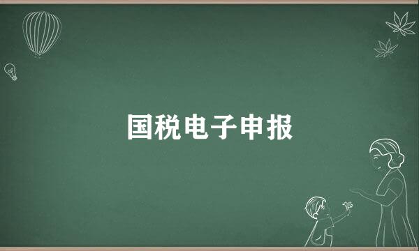 国税电子申报