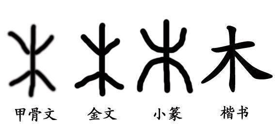 木字旁的字有哪些