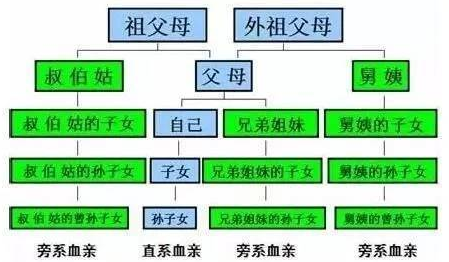 姻亲关系具体包括哪些？