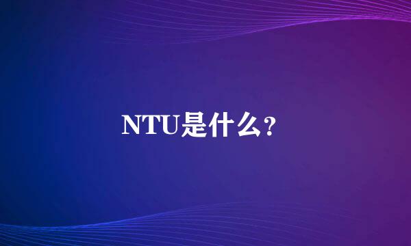 NTU是什么？