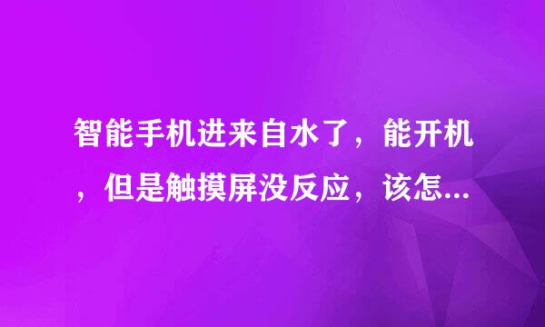 智能手机进来自水了，能开机，但是触摸屏没反应，该怎么处理呢