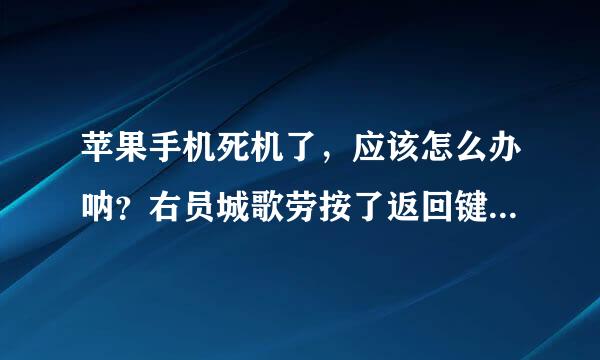 苹果手机死机了，应该怎么办呐？右员城歌劳按了返回键和关机键都不反应？应来自该怎么做呢？