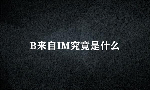 B来自IM究竟是什么