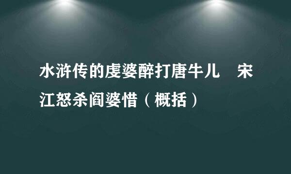 水浒传的虔婆醉打唐牛儿 宋江怒杀阎婆惜（概括）