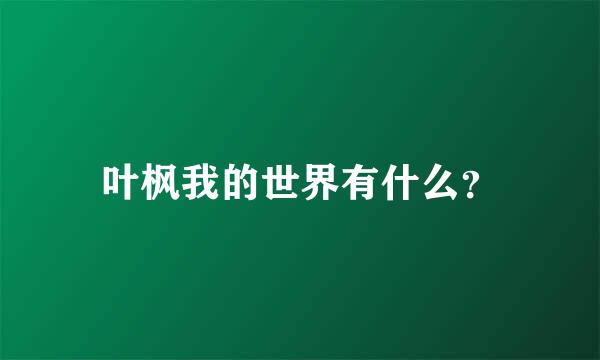 叶枫我的世界有什么？