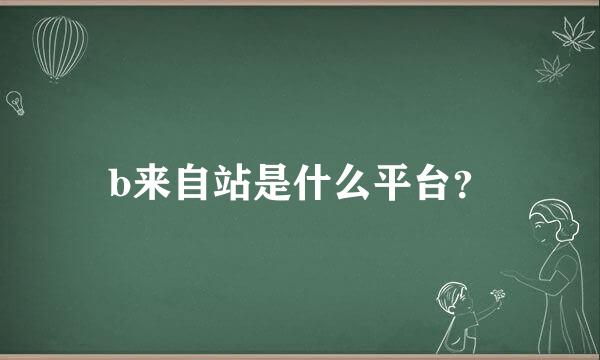 b来自站是什么平台？