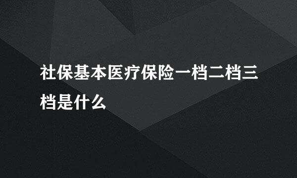 社保基本医疗保险一档二档三档是什么