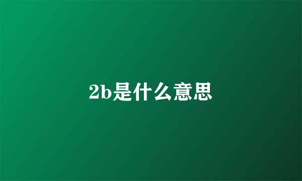 2b是什么意思