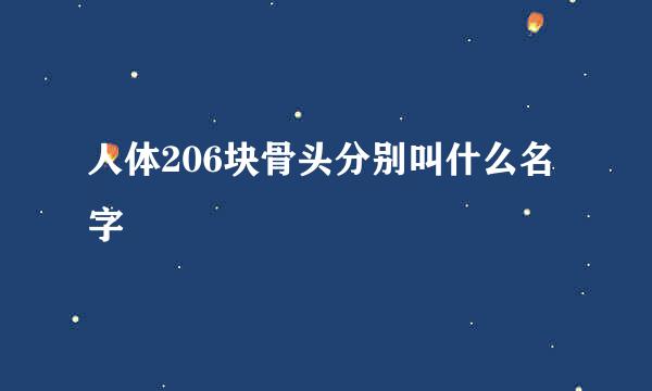 人体206块骨头分别叫什么名字