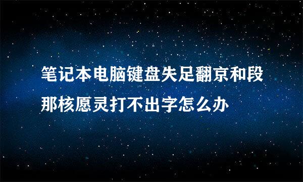 笔记本电脑键盘失足翻京和段那核愿灵打不出字怎么办