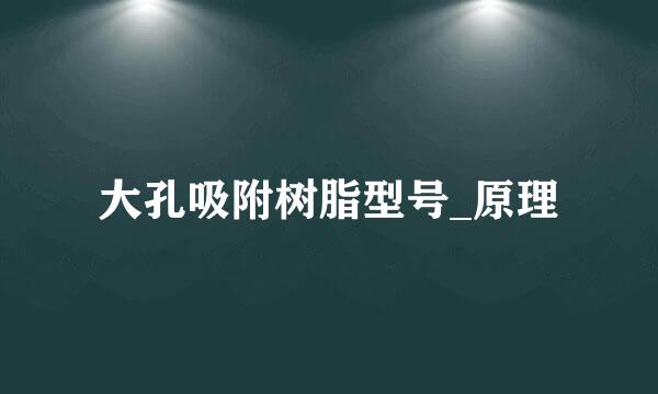 大孔吸附树脂型号_原理