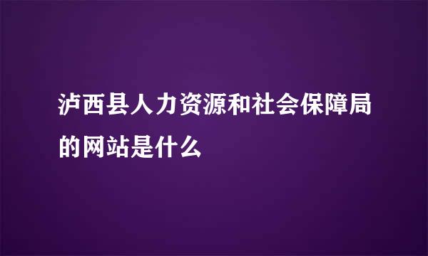 泸西县人力资源和社会保障局的网站是什么