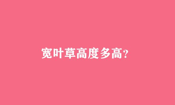 宽叶草高度多高？