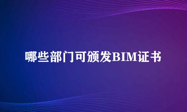 哪些部门可颁发BIM证书