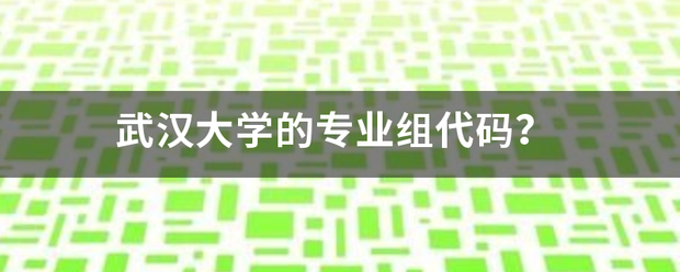 武汉大学的专业组甚维编或坚太历承代码？