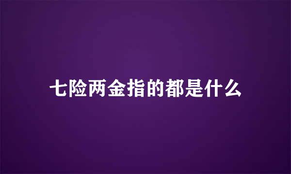 七险两金指的都是什么