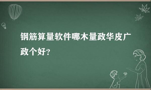 钢筋算量软件哪木量政华皮广政个好？