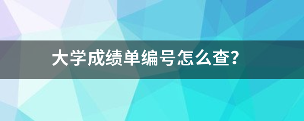 大学成绩单编号怎么查？