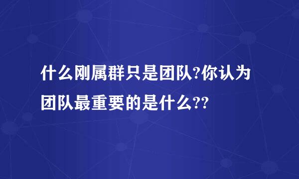 什么刚属群只是团队?你认为团队最重要的是什么??