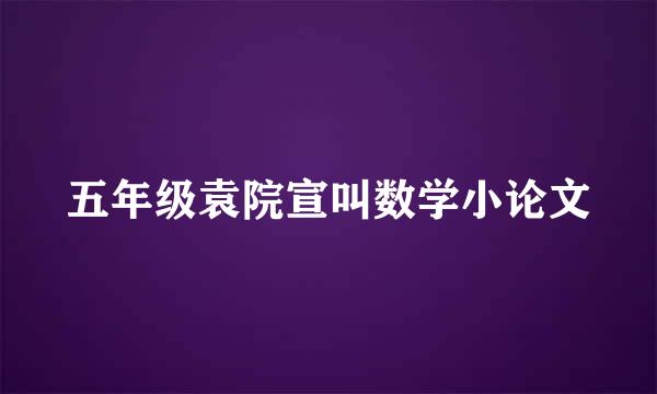 五年级袁院宣叫数学小论文