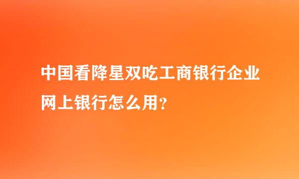 中国看降星双吃工商银行企业网上银行怎么用？