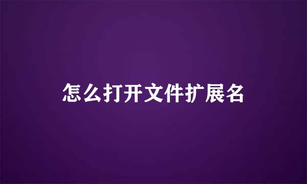 怎么打开文件扩展名