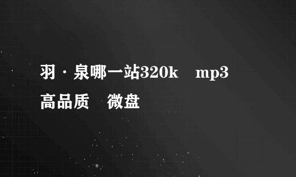 羽·泉哪一站320k mp3 高品质 微盘