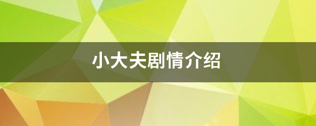 小大夫剧情介绍