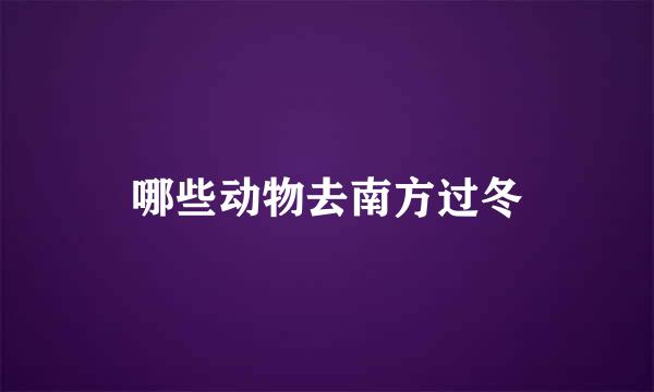 哪些动物去南方过冬