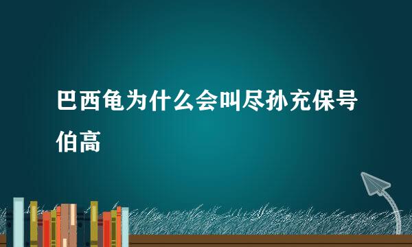 巴西龟为什么会叫尽孙充保号伯高