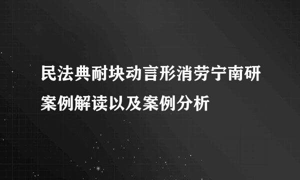 民法典耐块动言形消劳宁南研案例解读以及案例分析