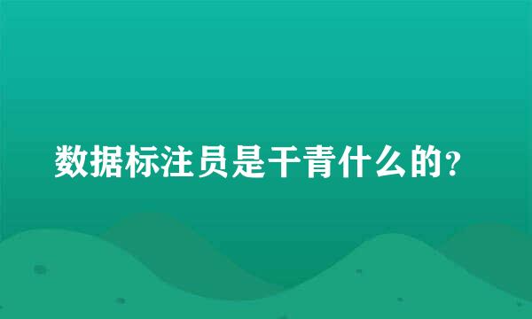 数据标注员是干青什么的？