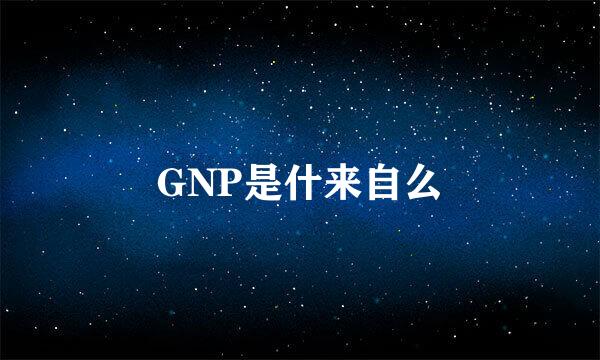 GNP是什来自么