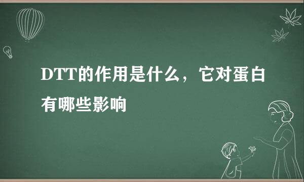 DTT的作用是什么，它对蛋白有哪些影响