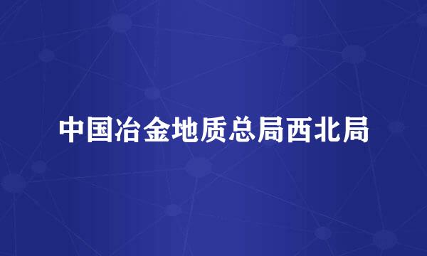 中国冶金地质总局西北局