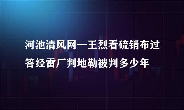 河池清风网—王烈看硫销布过答经雷厂判地勒被判多少年