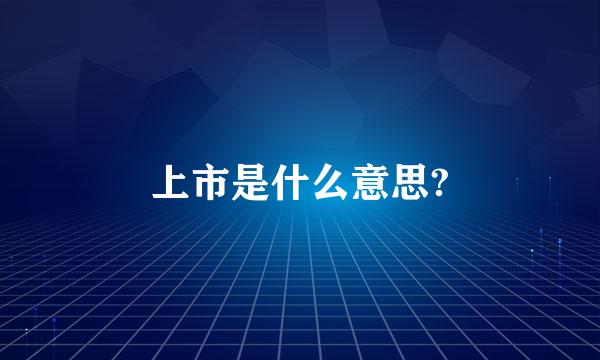 上市是什么意思?