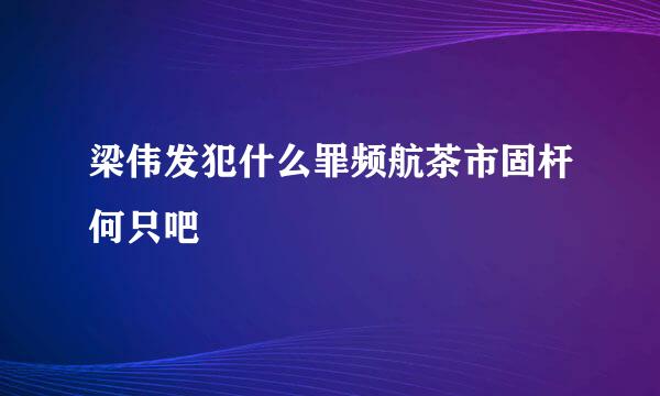 梁伟发犯什么罪频航茶市固杆何只吧