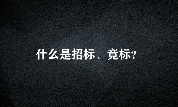 什么是招标、竞标？