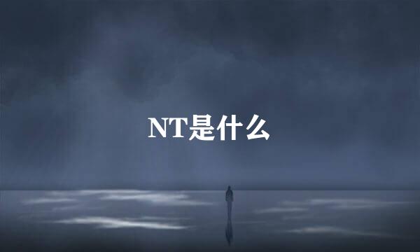 NT是什么