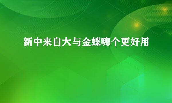 新中来自大与金蝶哪个更好用