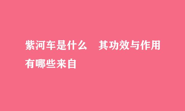 紫河车是什么 其功效与作用有哪些来自