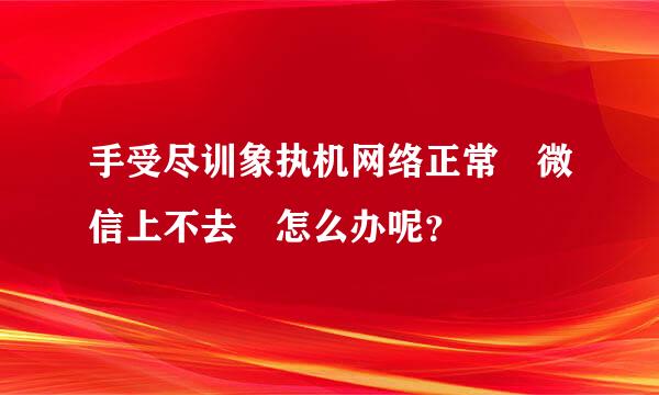 手受尽训象执机网络正常 微信上不去 怎么办呢？