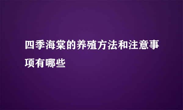 四季海棠的养殖方法和注意事项有哪些