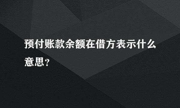 预付账款余额在借方表示什么意思？