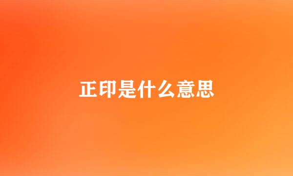 正印是什么意思