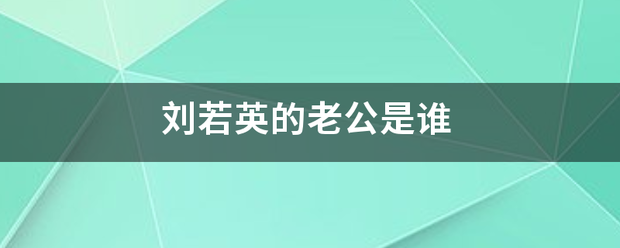 刘若英的老公来自是谁