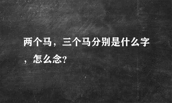 两个马，三个马分别是什么字，怎么念？