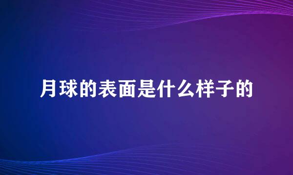 月球的表面是什么样子的